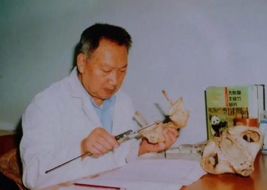 “中国大熊猫之父”胡锦矗因病不幸逝世，享年94岁