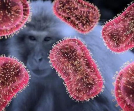 天津、长沙、沈阳等多地发现猴痘病例，市民出行须小心（2023多地出现猴痘）