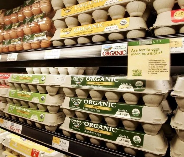 美国鸡蛋价格暴涨，甚至要靠“走私”购买！（2023美国蛋荒）