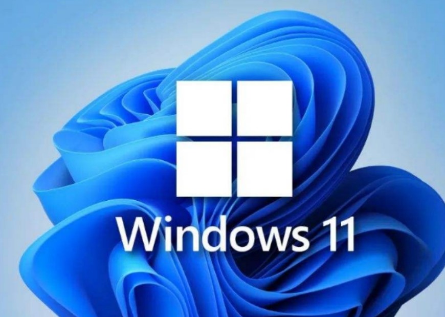 最新 Windows 11 Dev 预览版 Build 25300 新增数个便利性功能