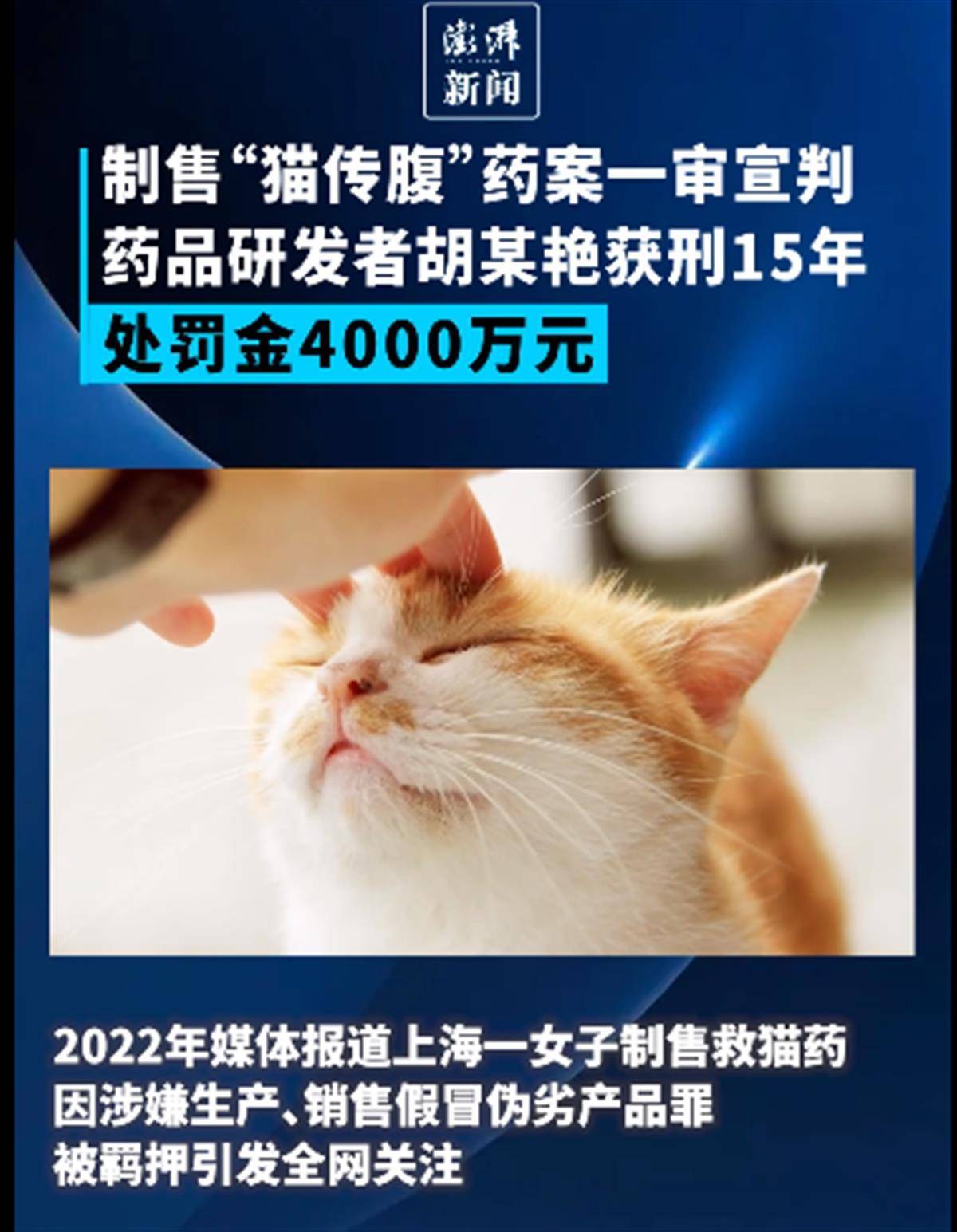 猫版“药神” 上海“猫药案”主犯及弟弟均获刑（2023猫药案主犯及弟弟均获刑）